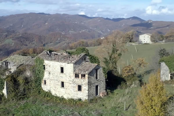 The Old Farm